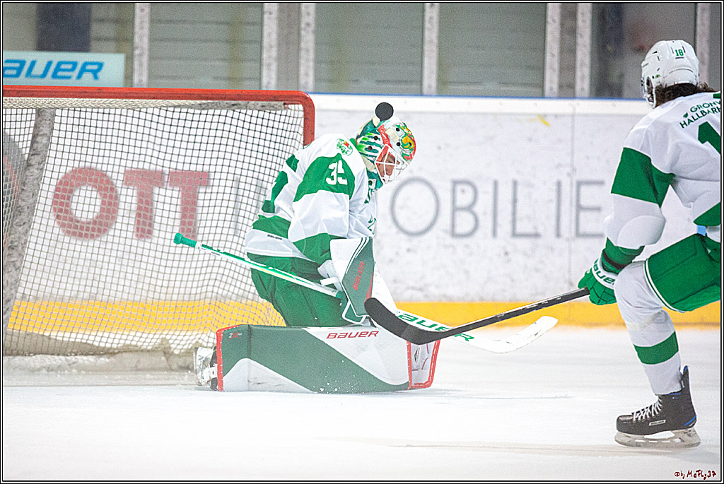 Koeln Cup 2019, Koelner Haie - Roegle BK 1-2, 18.08.2019